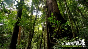 Mount Tambuyukon Expedition  